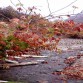 نمای پاییزی رودخانه دررود...