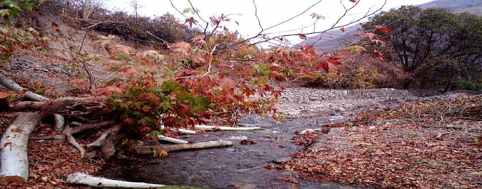 نمای پاییزی رودخانه دررود...